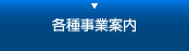 �Ƽ���Ȱ���